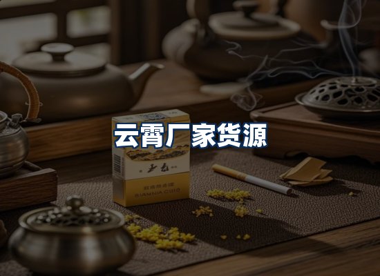 专业团队办公环境